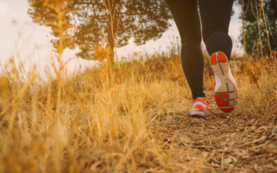 Courses pédestres Pays du Gier 2014 – Informations et Inscriptions